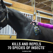 Infographic showing someone spraying a black horse in a barn with Absorbine Ultrashield EX Insecticide & Repellent Spray