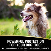 Infographic showing a dog and stating that the Absorbine Ultrashield EX Insecticide & Repellent Spray can be used for dogs too