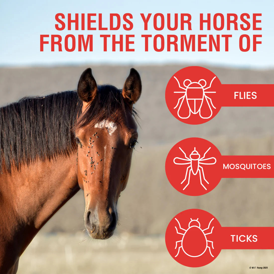 Infographic of horse with the bugs listed that the Absorbine Ultrashield Red Insecticide & Repellent Spray protects the horses from