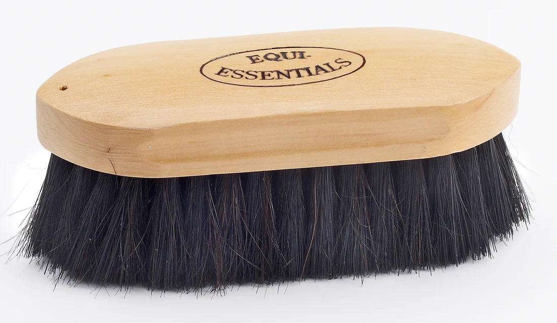 Equi Essentials wood back dandy brush with natural horsehair bristles and printed logo on top