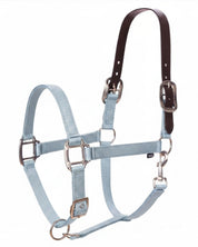 Side view of the sweet blue Equinavia Loki Breakaway Halter on a white background
