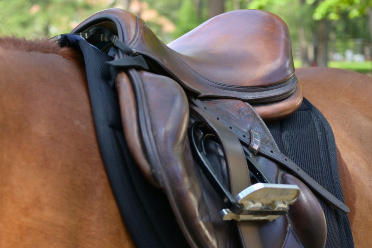 Angled front view of the black Correct Connect XC Mesh Saddle Pad under a brown saddle worn by a chestnut horse