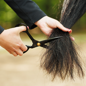 View of someone trimming a horse's tail using the Hairy Pony Horse Tail Trimming Scissors