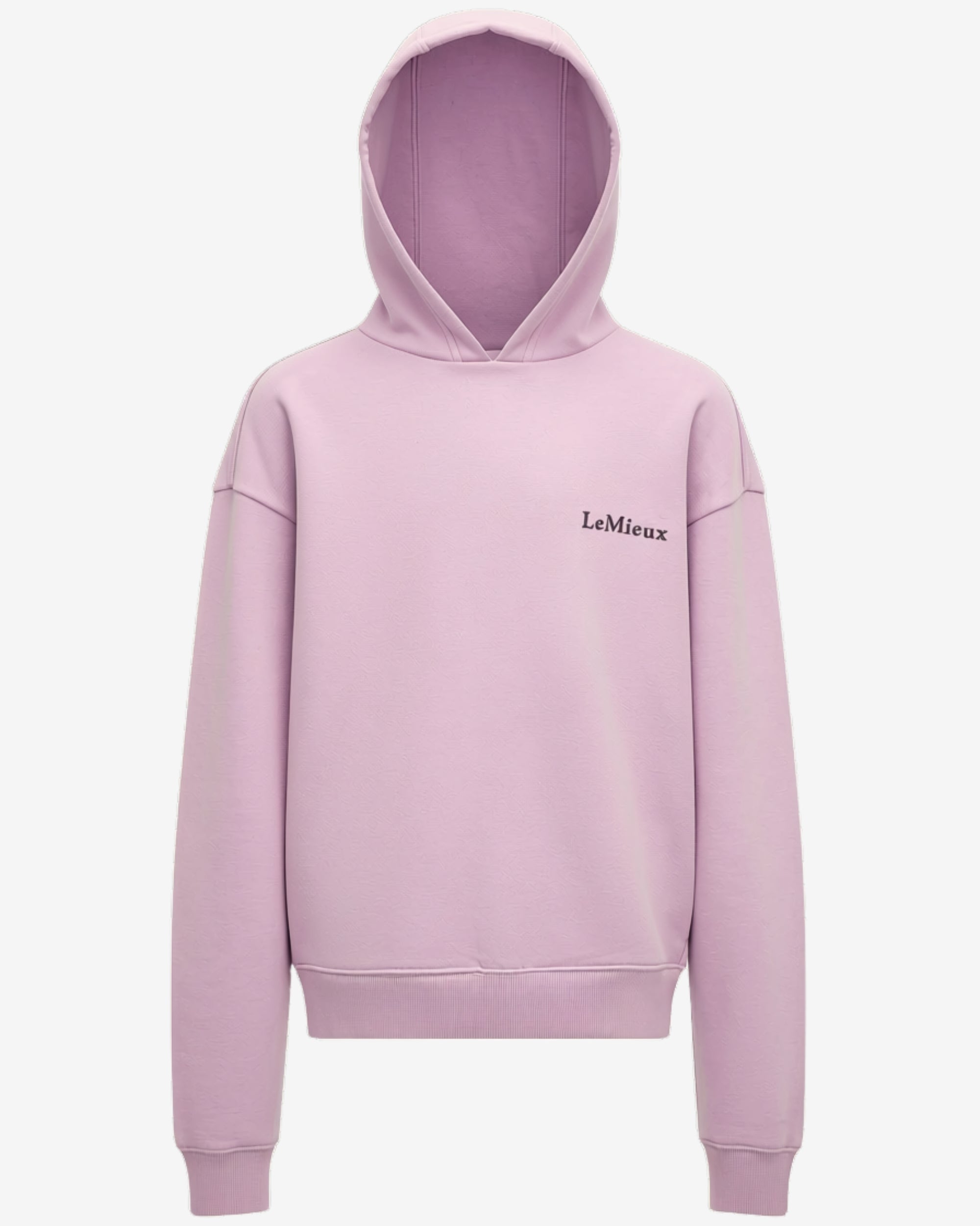 Front view of the fondant LeMieux Young Rider Sia Hoodie on a plain background