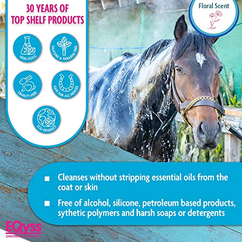 Horse being rinsed with water outdoors