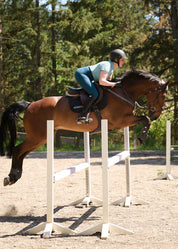 Rider jumping a horse while wearing teal riding tights and helmet