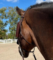 Angled back view of a horse wearing the brown DziaSport Eyes Forward Removable Leather Blinkers while standing in an outdoor arena