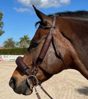 Side view of a horse wearing the brown DziaSport Eyes Forward Removable Leather Blinkers while standing in an outdoor arena