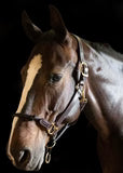 Walsh 5100 Rope Nose British Halter