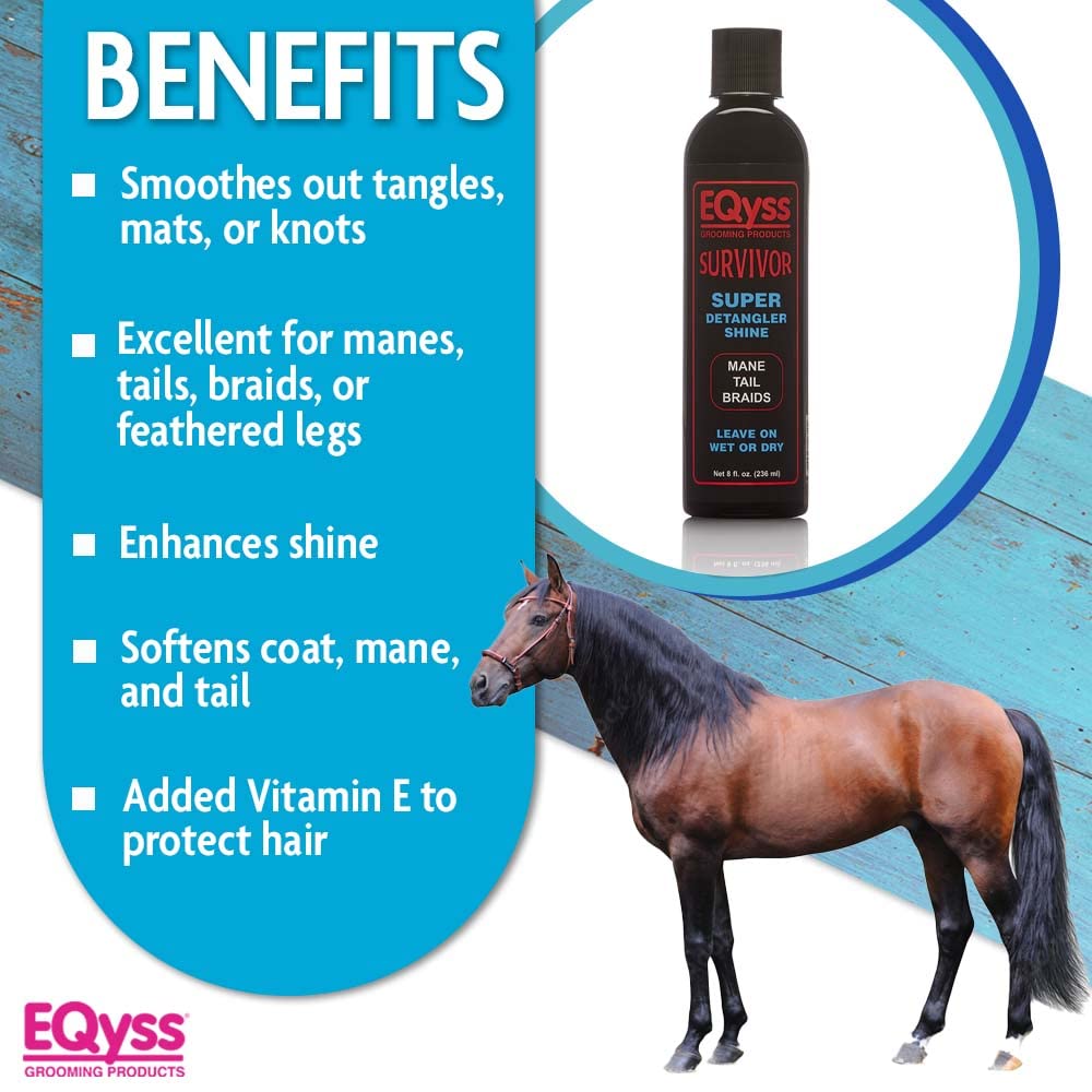 Bottle of detangler shown on a graphic background next to a standing horse