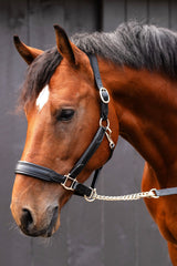 Black Oak Evergreen Halter