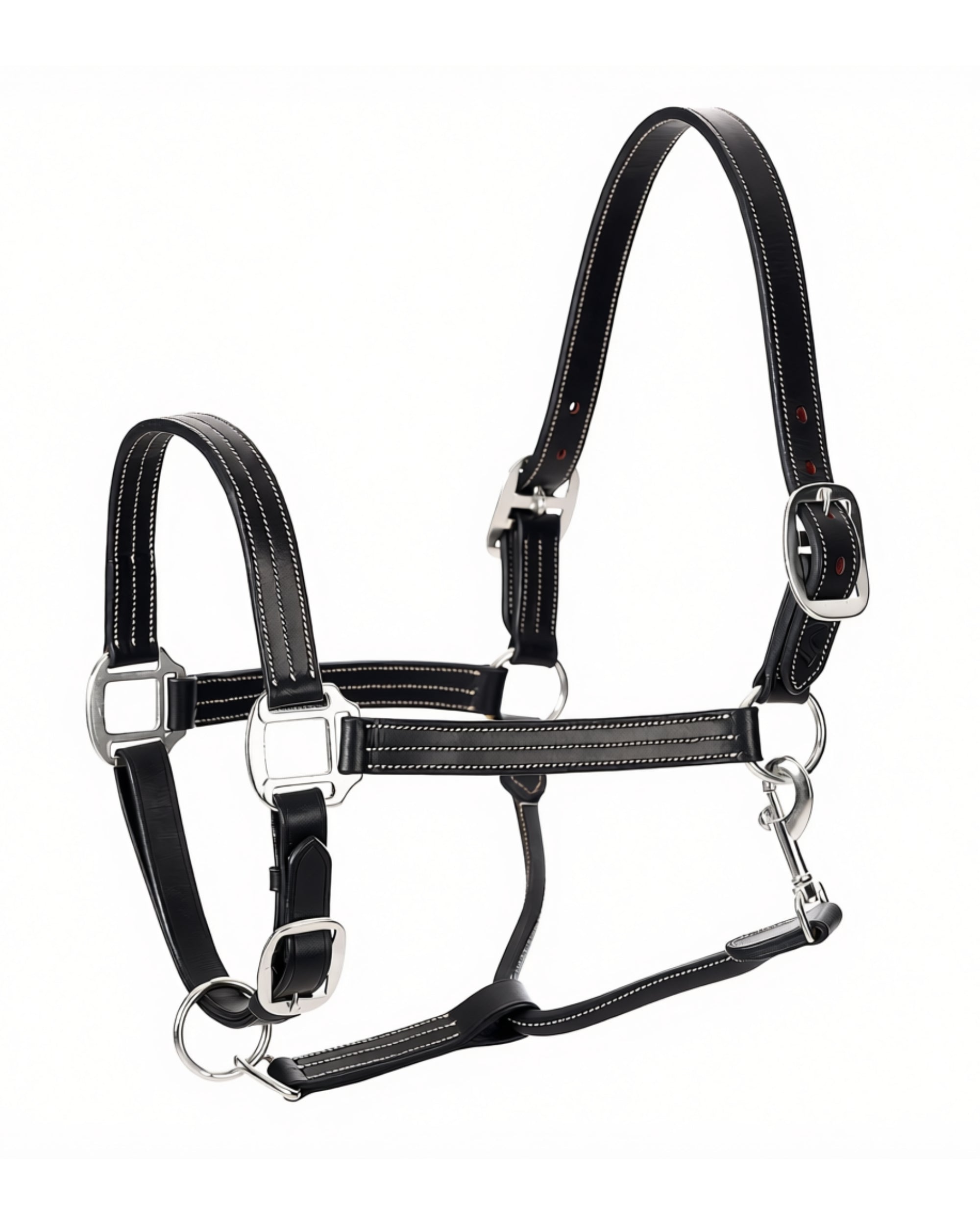 Side view of the black Equinavia Valkyrie Triple Stitched Halter on a white background