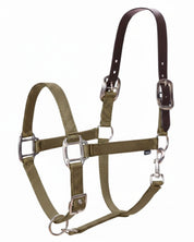 Side view of the olive Equinavia Loki Breakaway Halter on a white background