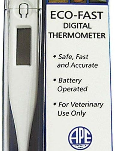 Front view of a Eco-Fast Digital Thermometer in original packaging on a white background