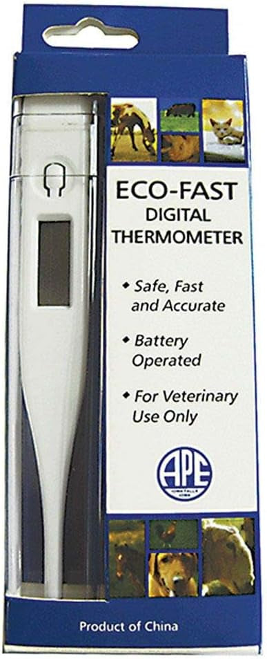 Front view of a Eco-Fast Digital Thermometer in original packaging on a white background