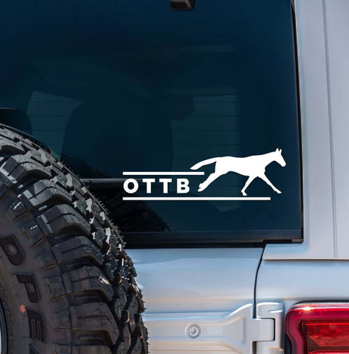 View of the white OTTB Dapplebay Vinyl Decal on the back of a silver jeep