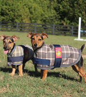 Side views of 2 small dogs standing side-by-side outside while wearing 5/A Baker Dog Blankets