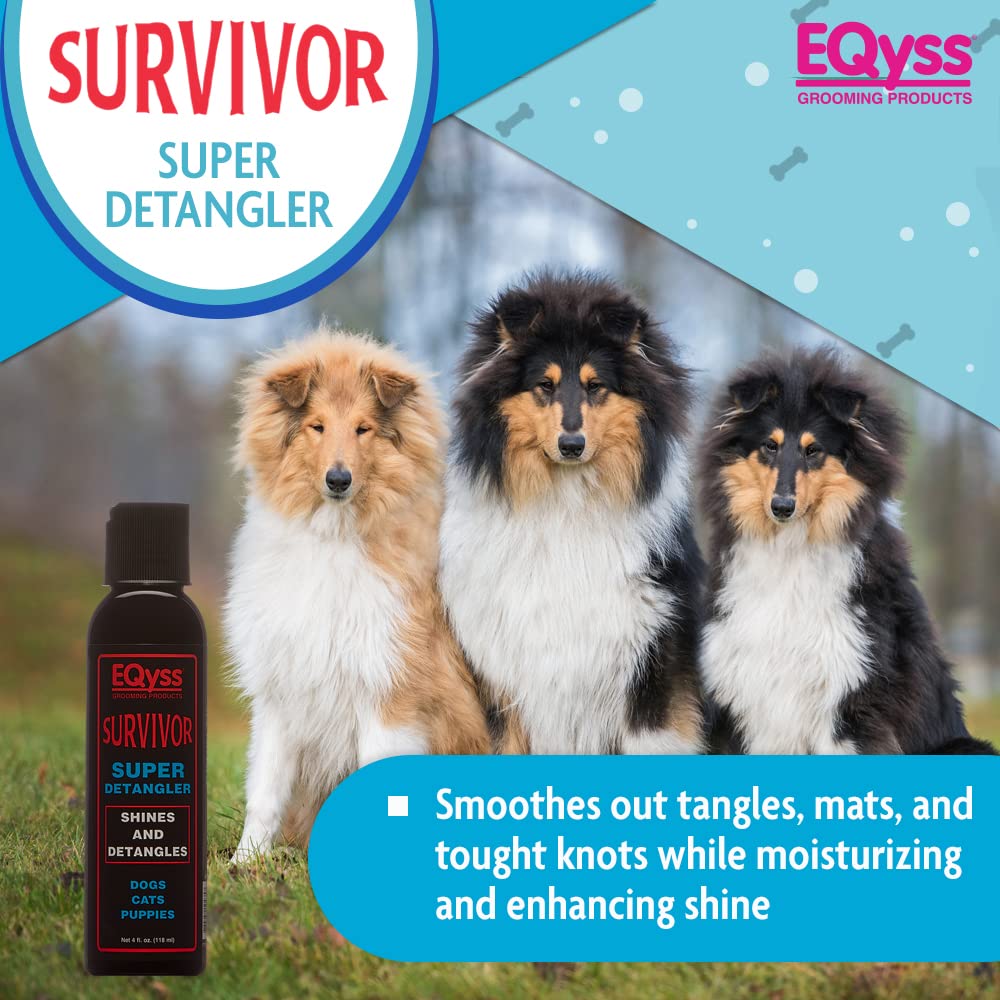 Bottle of detangler shown next to three dogs sitting on grass