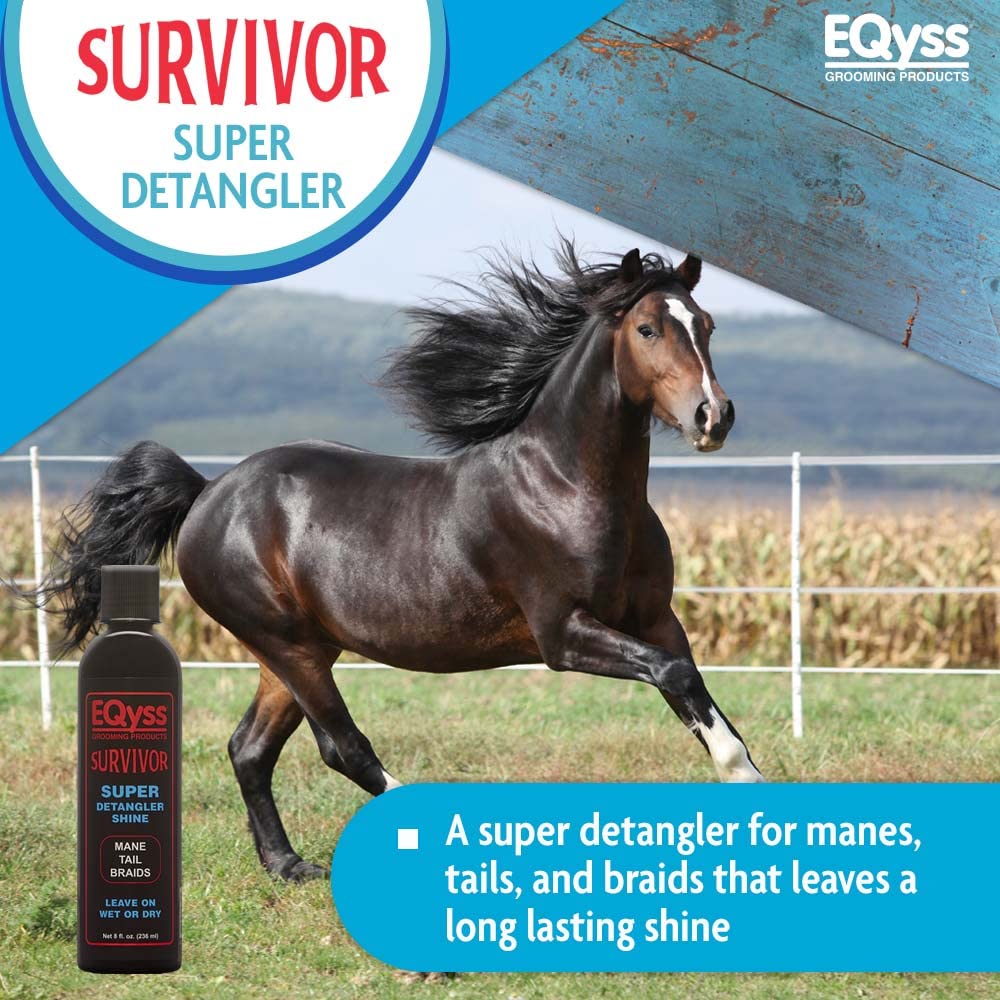 Bottle of detangler spray shown next to a running horse in a fenced field