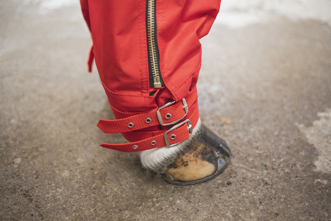 Close-up view of the adjustable buckles on the Cordura Ice Boots in red