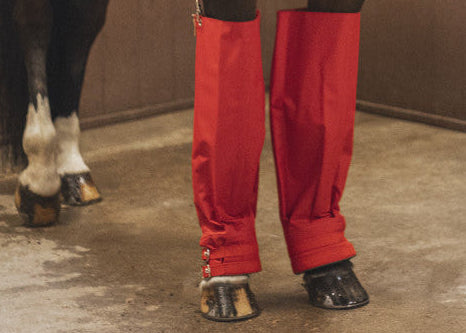 Close-up view of a horse wearing the the Cordura Ice Boots in red