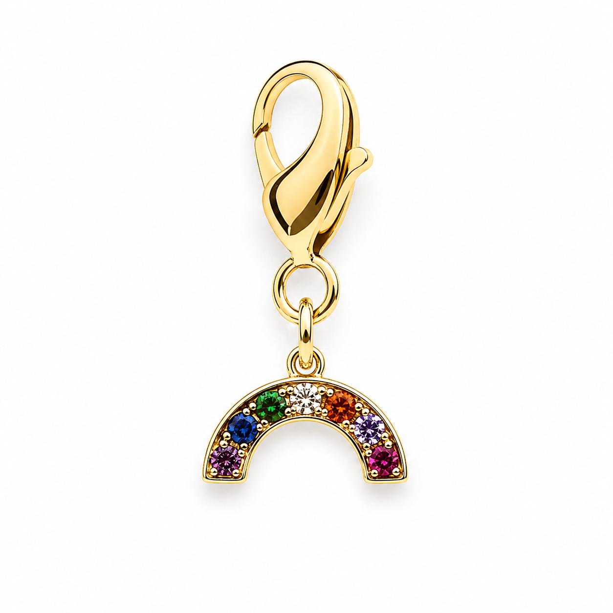 Front view of the gold rainbow Dubois Cheval Braid Charm on a white background