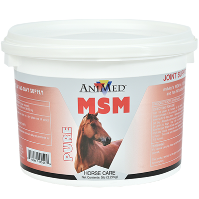 Front view of a 5 lb tub of AniMed Pure MSM Powder on a white background