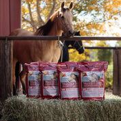 Front view of 4 bags of Horse Guard Vitamin E and Selenium set on a haybale with 2 horses tied up in the background