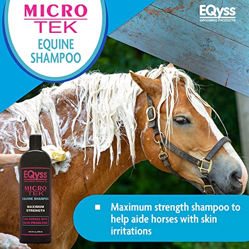 Horse being washed with shampoo while a bottle of equine shampoo is shown beside it