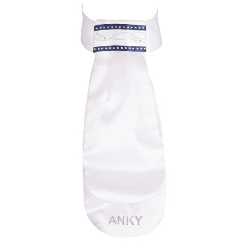 Front view of the ANKY Fancy Stock Tie on a white background