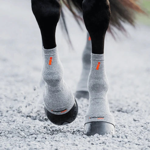 Front view of a horse wearing grey Incrediwear Circulation Hoof Socks while walking on a gravel path