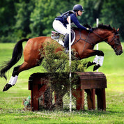 View of a female model jumping a horse over a cross country obstacle while the horse is wearing the white Boyd Martin Eventing 4 Pack