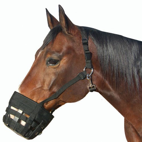 View of a bay horse wearing the Best Friend Deluxe Grazing Muzzle on a white background