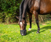 Side view of a bay horse grazing outside while wearing the Best Friend Deluxe Grazing Muzzle