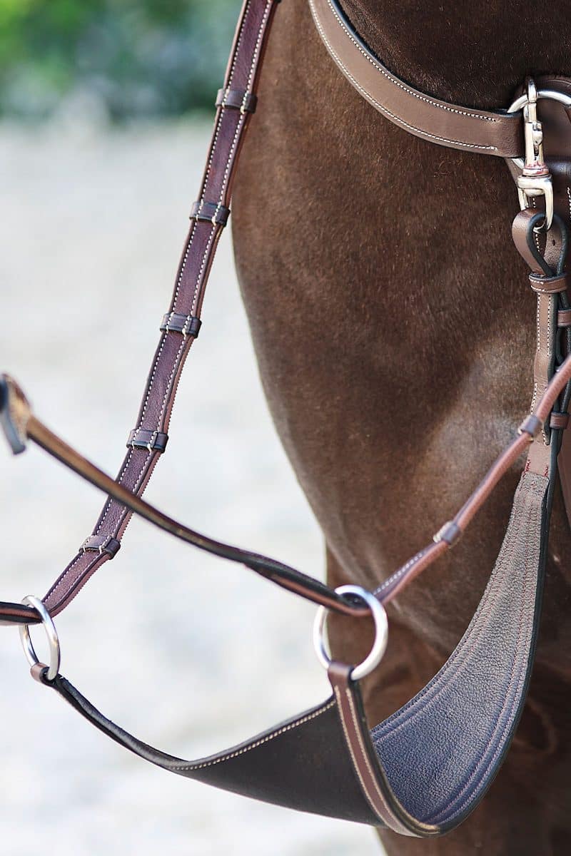 Arion Bib Martingale