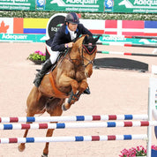 Rider jumping a horse over rails with Majyk Equipe Boyd Martin Stadium Tendon Jump Boots on the horse’s front legs