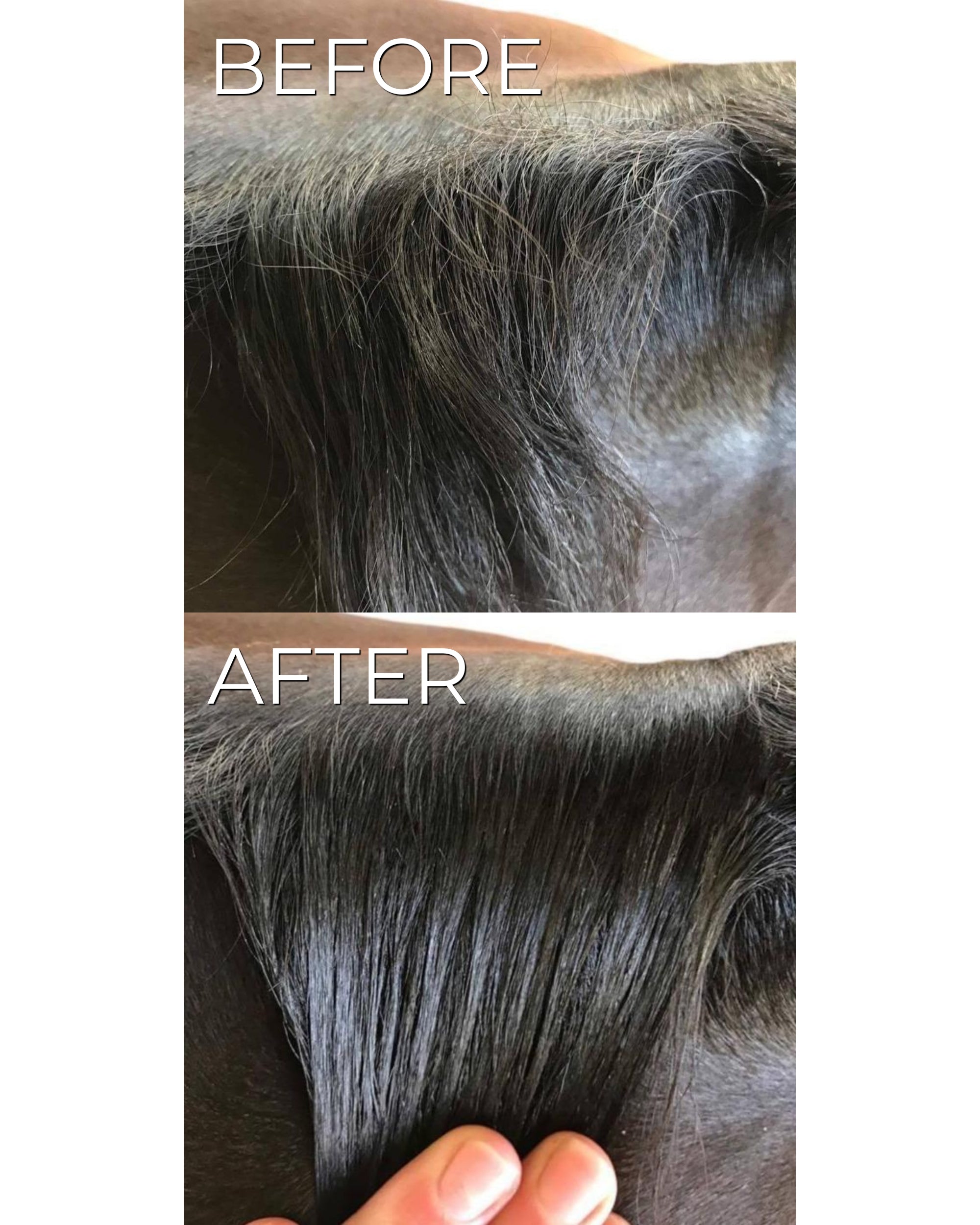 Infographic showing a horse's mane before and after using Hairy Pony Plaiting Taming Wax