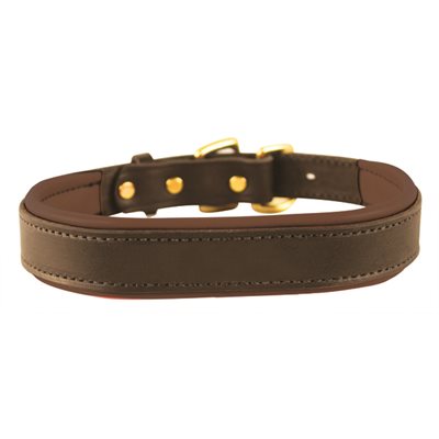 Full view of the havana Perri's Padded Leather Dog Collar on a white background