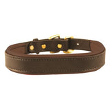 Perri's Padded Leather Dog Collar