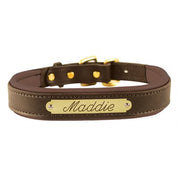 Full view of the brown Perri's Padded Leather Dog Collar with "Maddie" Plate on a white background