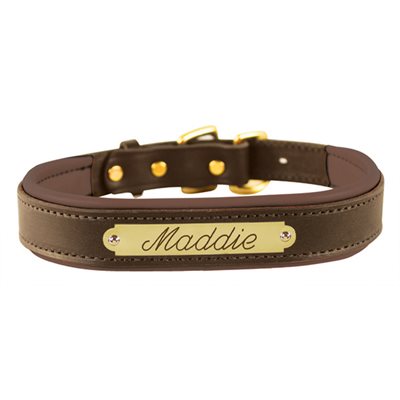 Full view of the brown Perri's Padded Leather Dog Collar with "Maddie" Plate on a white background