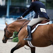Angled back view of a model riding a horse wearing a Ecogold Secure Hunter Pad in the showring