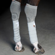 Back view of a horse wearing grey Incrediwear Circulation Exercise Bandages on the two hind legs