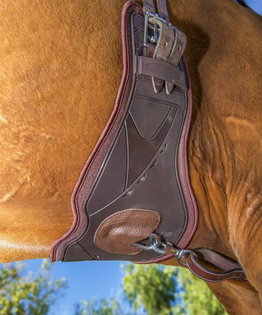 Professional’s Choice VenTECH contoured monoflap girth in chocolate attached to saddle on horse, showing contoured shape and center D-ring