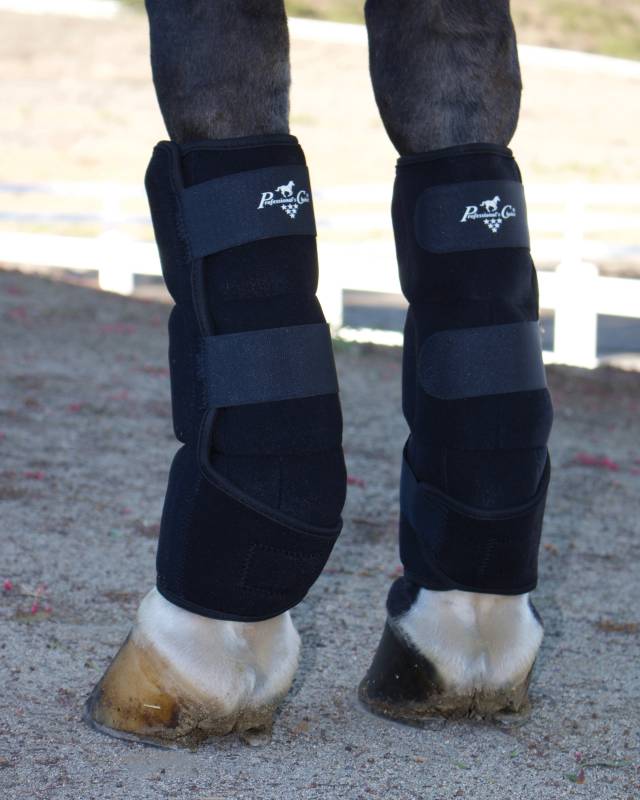 Close-up back view of a horse wearing the Professional's Choice Ice Boots while standing in an arena
