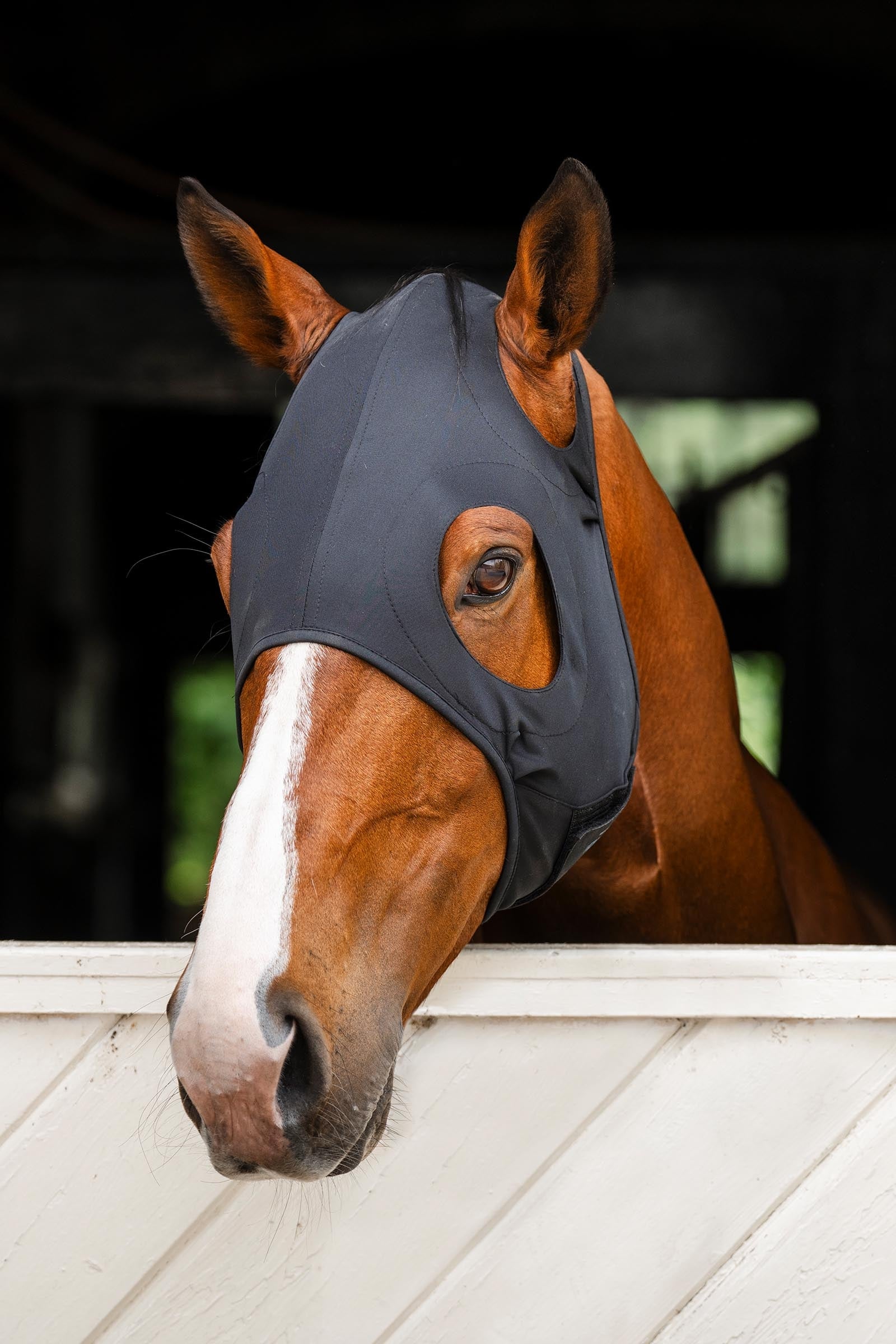 Horseware Ireland Ionic Calming Face Mask
