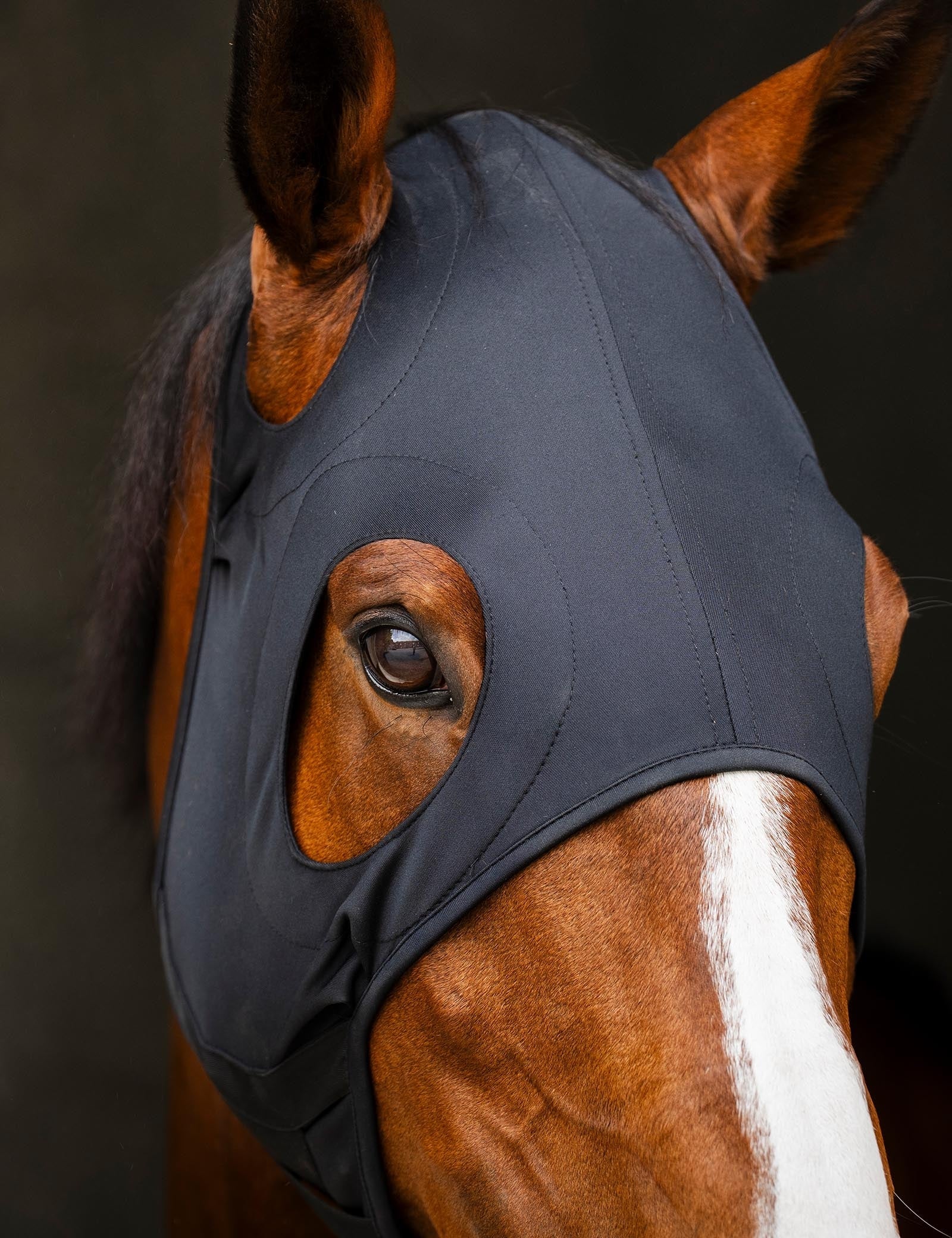 Horseware Ireland Ionic Calming Face Mask