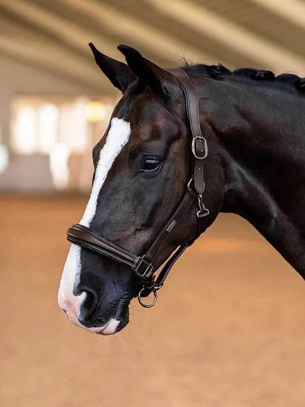 Side view of a dark colored horse wearing the brown Equestrian Stockholm Glimmer Anatomic Leather Halter
