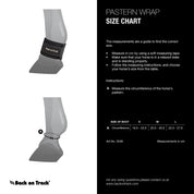 Infographic sizing chart for the Back on Track Pastern/Fetlock Band