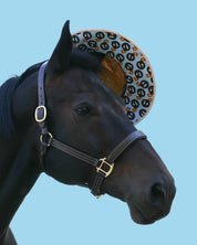 Side view of a black horse wearing the Dreamers & Schemers Hay Sunshine F Bomb Hat on a blue background